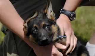 谁还不是个宝宝 谁还不是个宝宝