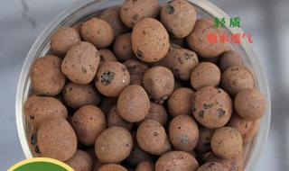 陶粒一般在哪买 陶粒一般在哪买