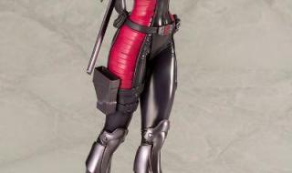 特种部队眼镜蛇的 特种部队眼镜蛇的