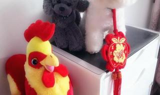 大年三十长辈祝福语