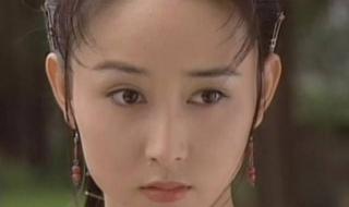 张卫健主演的电视剧