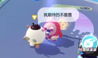 我期待的不是雪 我期待的不是雪