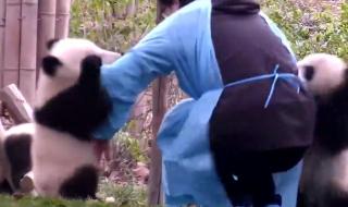 我要抱着你不让你走 我要抱着你不让你走