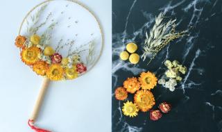 云南的干花 云南的干花