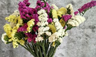 云南的干花 云南的干花