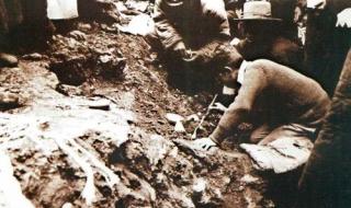 疑踪第二季 疑踪第二季