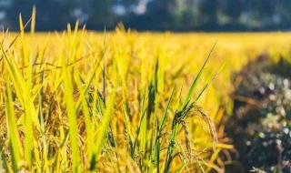 我国人口突破14亿 我国人口突破14亿