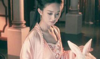 信不信由我 信不信由我