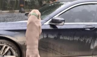 宝马740车主 宝马740车主