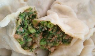 茴香苗饺子 茴香苗饺子