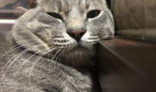 时间就像把杀猪刀