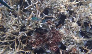 七日杀上帝模式 七日杀上帝模式