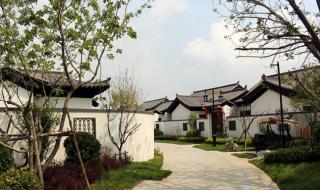 春风十里报新年原唱 春风十里报新年原唱