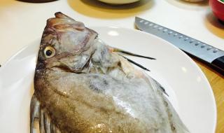 月亮鱼多少钱一斤 月亮鱼多少钱一斤