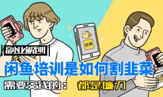 无货源网店怎么开