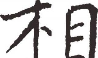 相见不如怀念日文版 相见不如怀念日文版