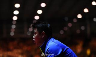 2017世乒赛男单决赛