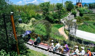 温州乐园营业时间